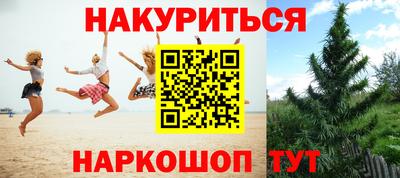 стафф Будённовск