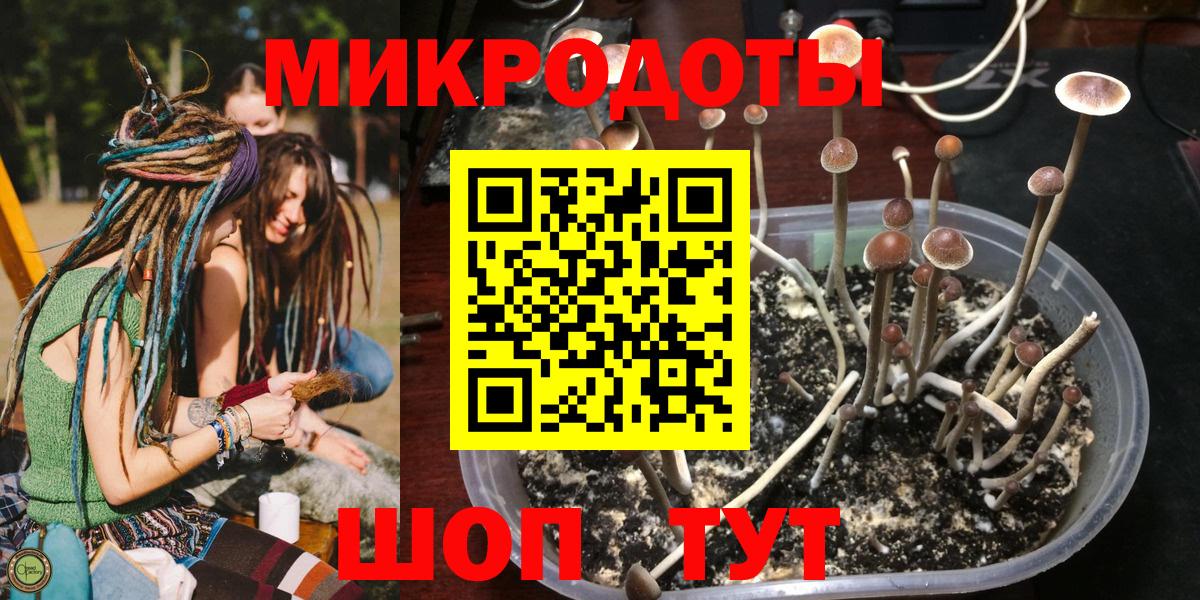 Галлюциногенные грибы Cubensis  Вход с VPN  Псков 